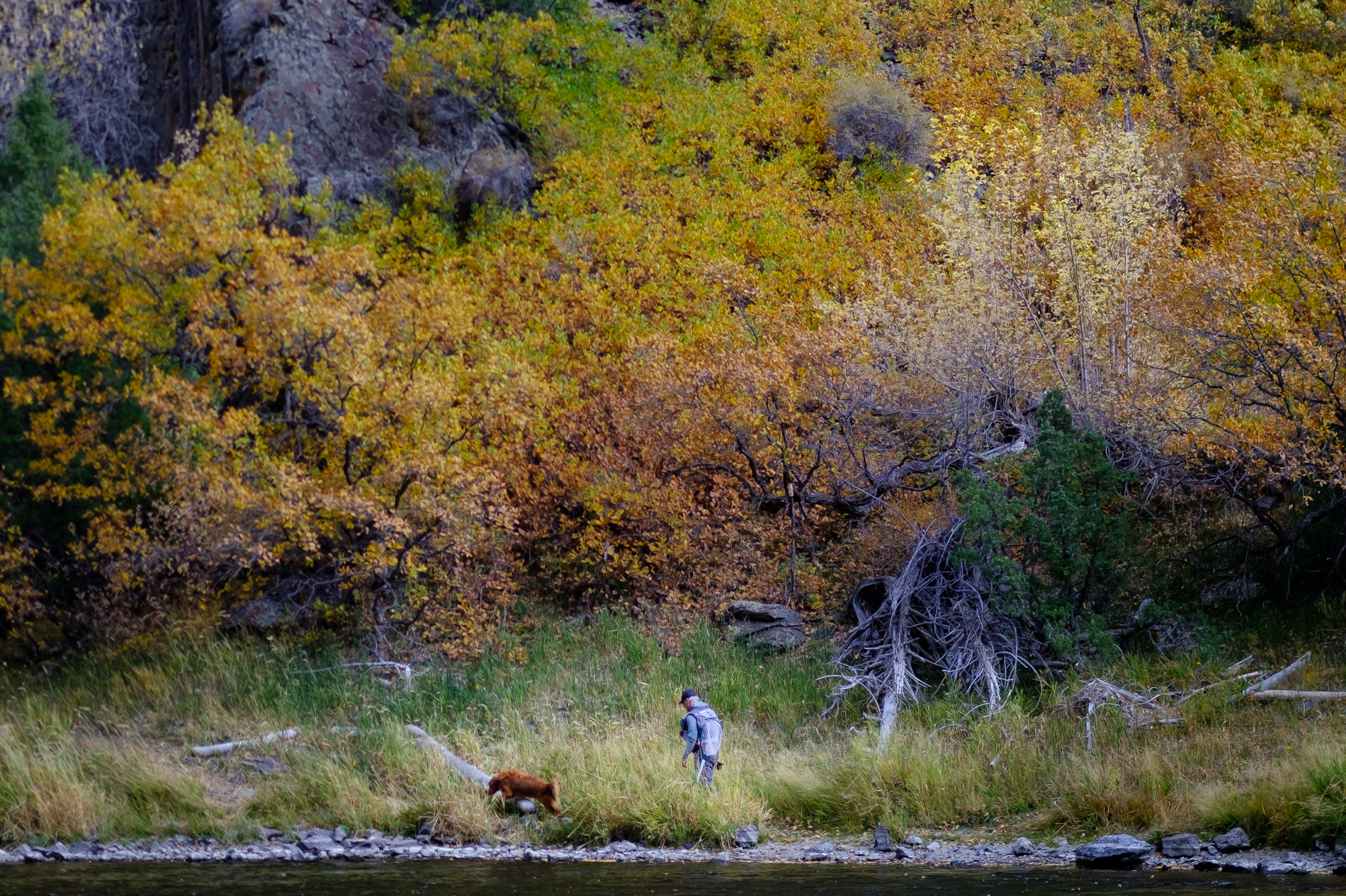 Autumn_FlyFishing_1