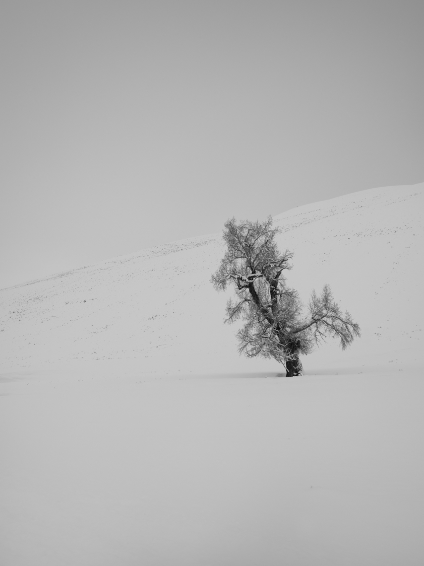 DSCF0088-Edit