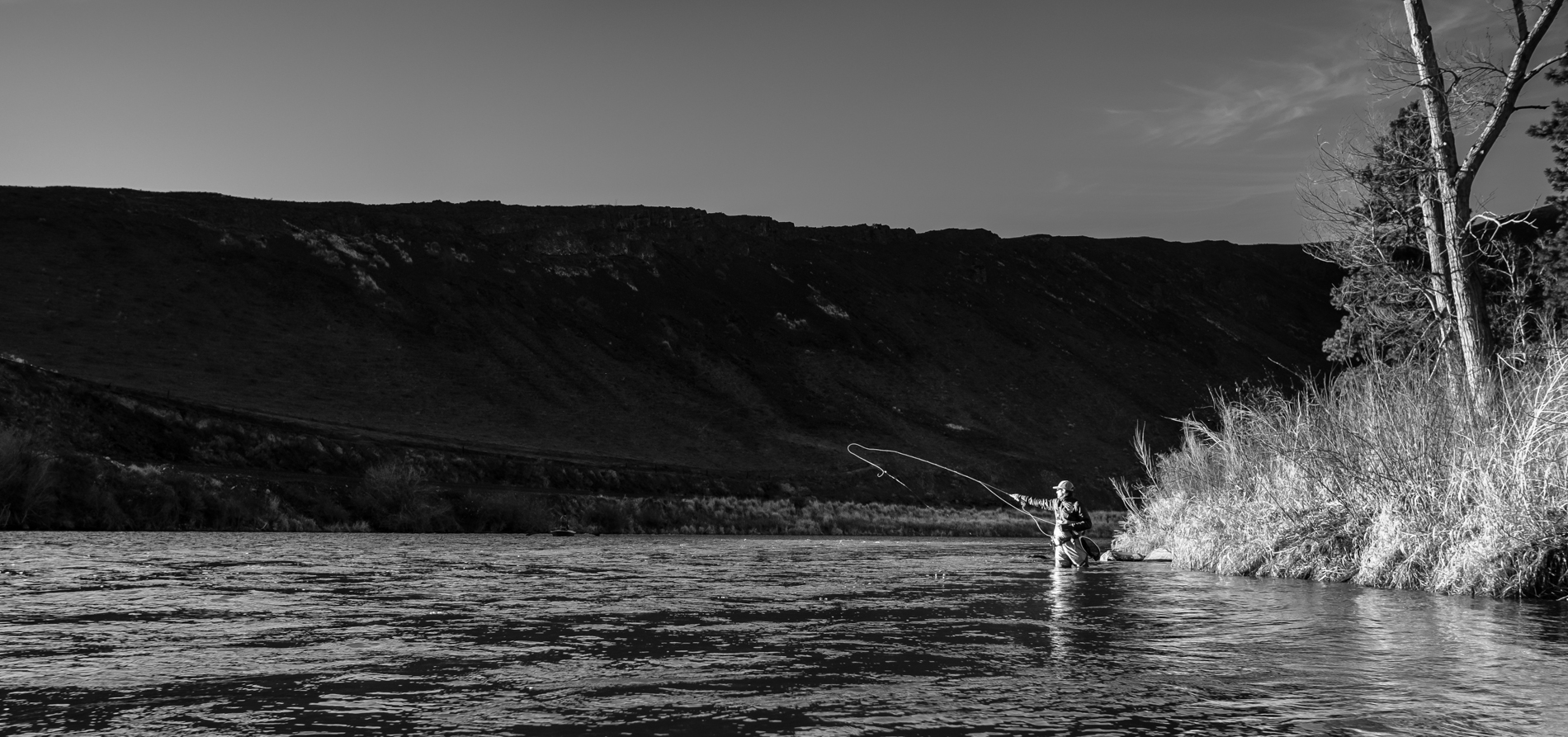 RDXT4621-Edit